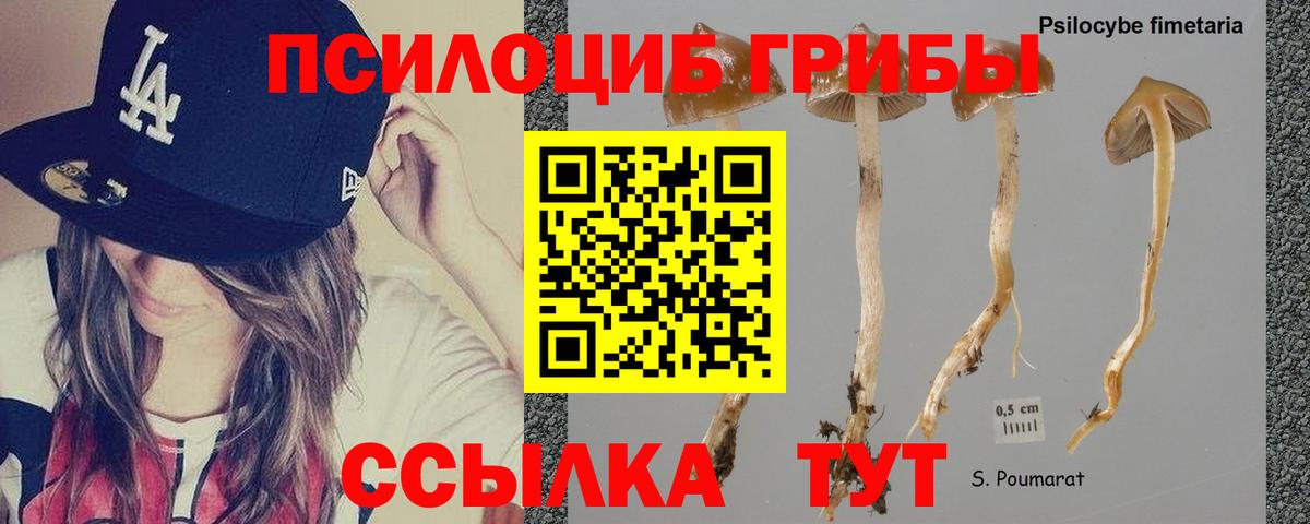 Псилоцибиновые грибы Psilocybe  сколько стоит  Гагарин  Вход с VPN 
